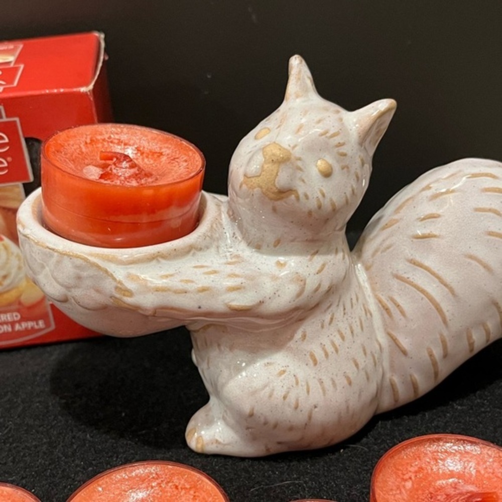 Ceramic Squirrel holder with Sugared Cinnamon Apple tea lights. - Picture 9 of 11